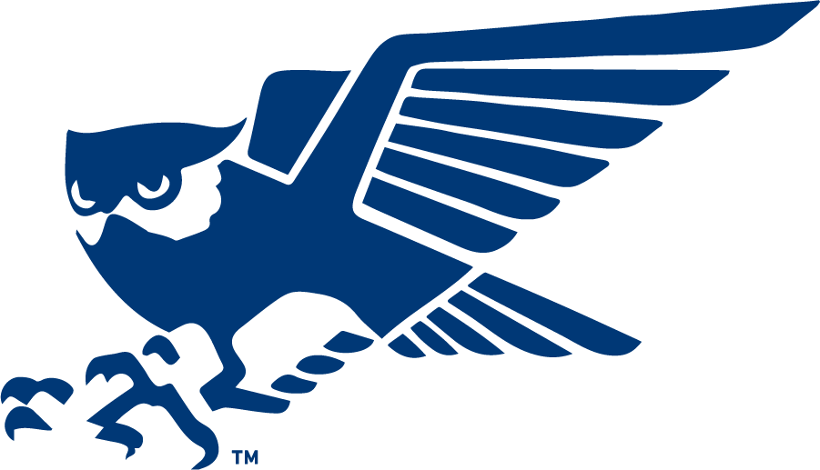 Rice Owls 1979-1986 Primary Logo diy DTF decal sticker